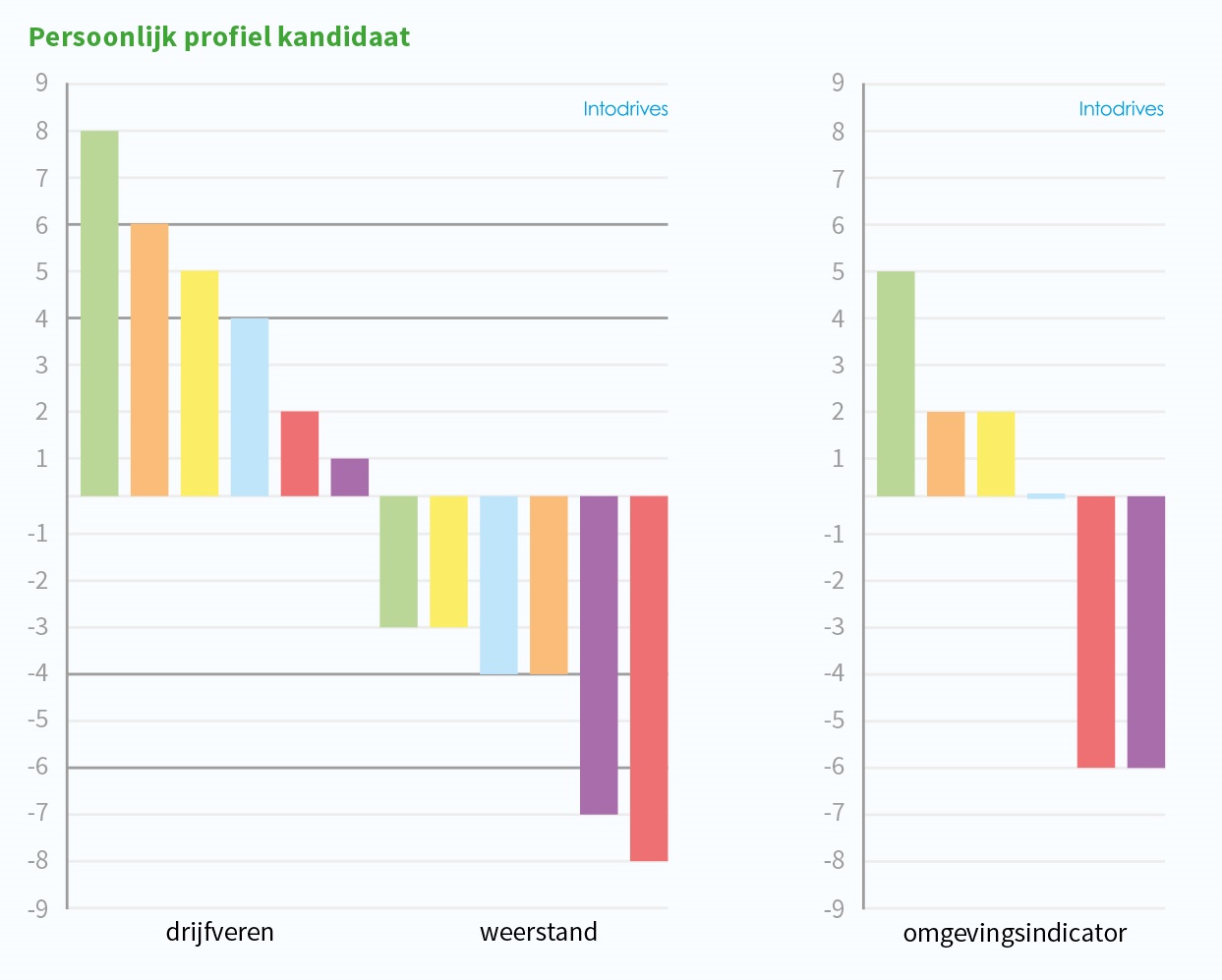 Persoonlijk profiel kandidaat Drijfverentest